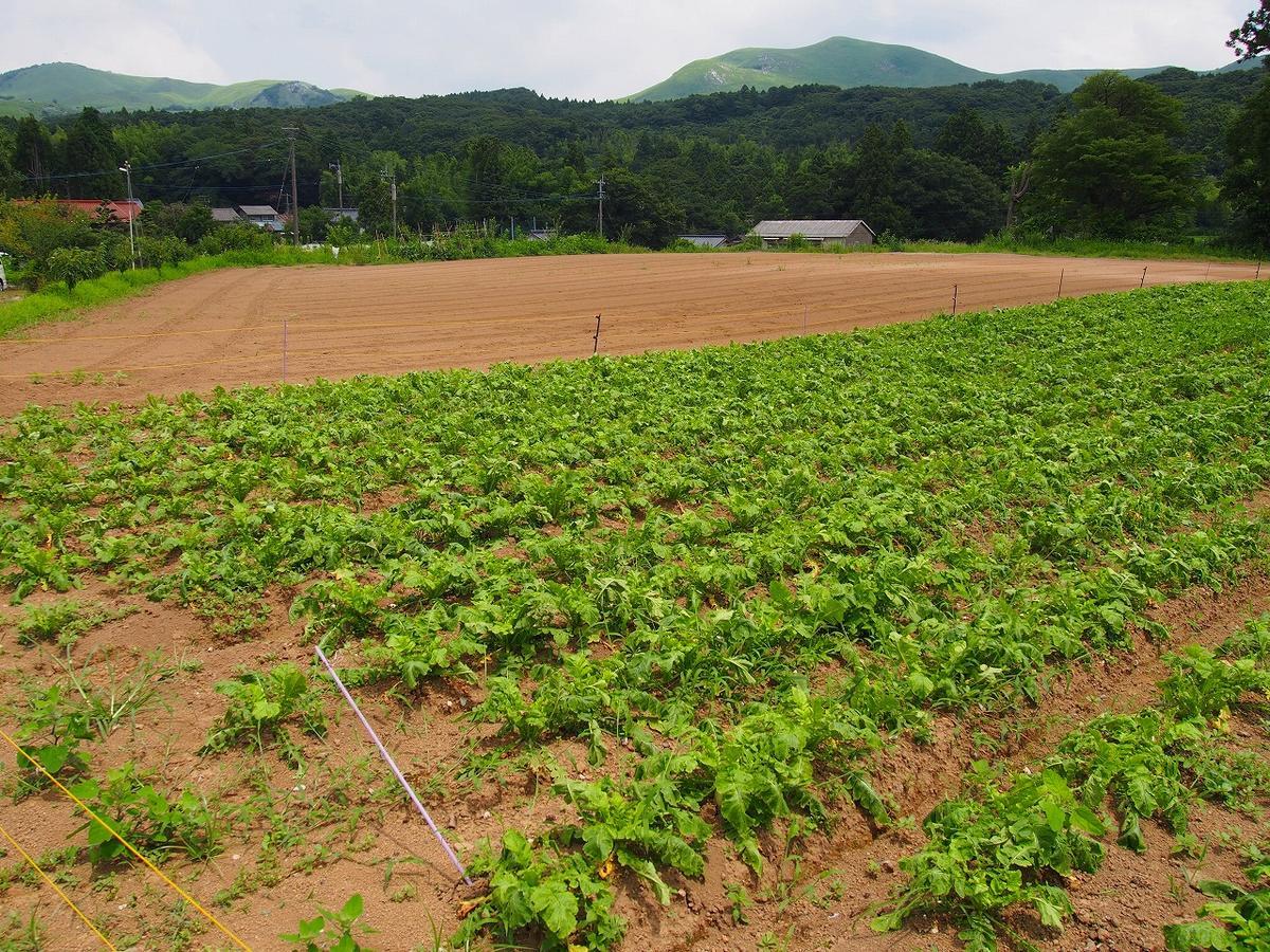 Yamano-Ie Hiraodai Kitakyushu Exterior photo